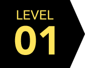 LEVEL01