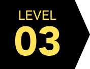 LEVEL03